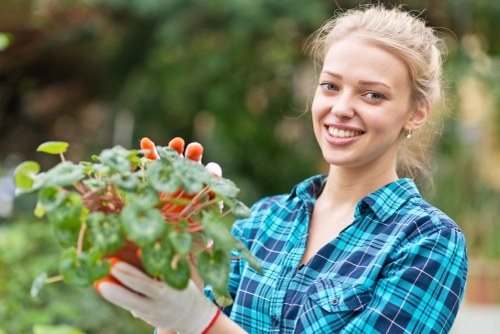 Professional Whitton garden care with neat borders and planting