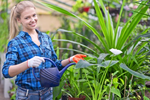 Gardeners Whitton commitment to preventing modern slavery