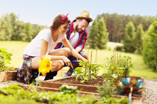 Healthy green lawn care in Whitton with neat grass and seasonal upkeep