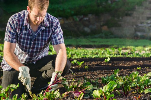Image showing a gardening team reviewing a complaint form