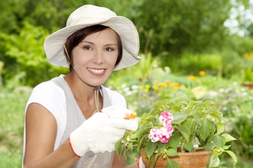 Whitton gardening services supporting a balanced and welcoming garden