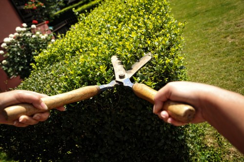Image showing a customer service discussion about garden work