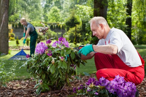 Whitton gardeners maintaining residential and commercial landscapes