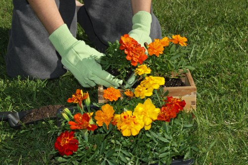 Whitton garden pricing explained for mixed green waste removal