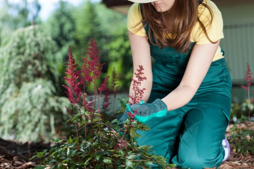 Low-carbon van used for sustainable gardening services in Whitton