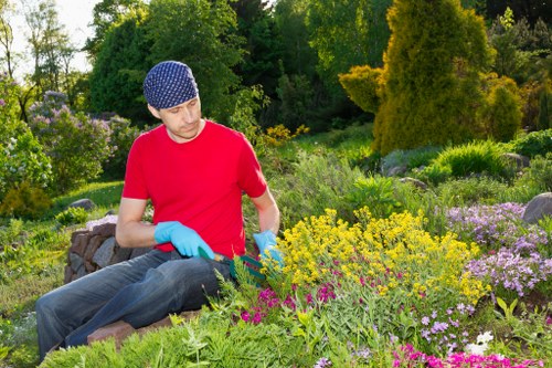 Image showing a garden inspection after a service issue