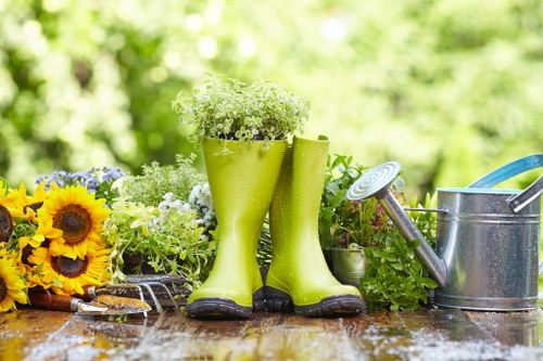 Professional garden clearance in Whitton clearing waste from a residential outdoor space