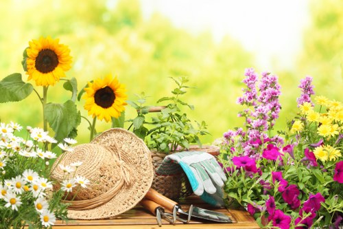 Professional landscaping in Whitton with hard and soft features