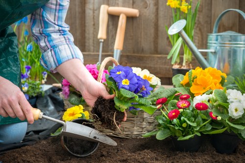 Professional Whitton garden maintenance with lawn and hedge care
