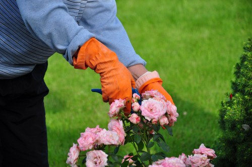 Tree surgeon removing overgrown branches in a Whitton garden