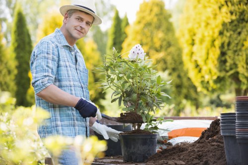 Seasonal gardening services in Whitton for a well-kept garden