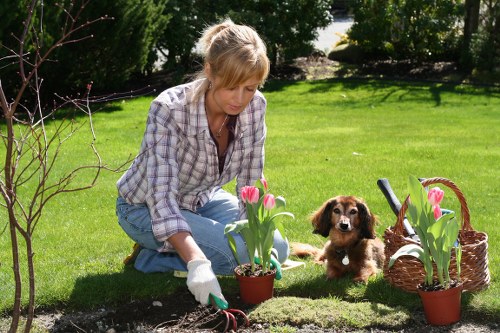 Experienced gardeners in Whitton shaping a tidy outdoor space