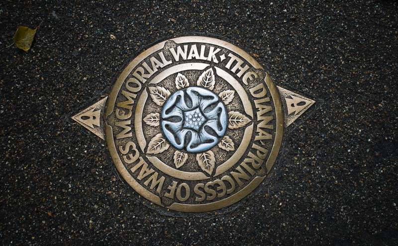 garden design irrigation system