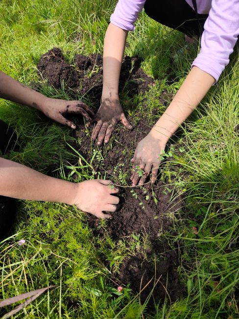 An aerial view of the Whitton Community Centre grounds showcasing well-maintained garden beds bordered by a variety of trees and shrubs, with neatly trimmed grass and pathways. The grounds feature a l